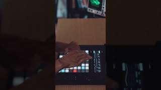 Ableton PUSH 2 is my favorite instrument electronicmusic synth [upl. by Horst]