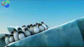 Pinguine auf einer Eisscholle  halten zusammen [upl. by Talley]