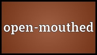 Openmouthed Meaning [upl. by Airotel]