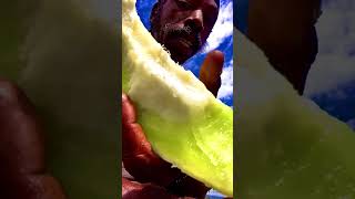 EAT FRUIT FOR HIGHER SPIRITUAL EXPERIENCE HEALING AWARENESS amp NATUREfruit spirituality spiritual [upl. by Selassie]