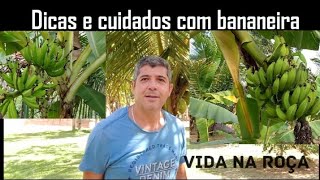 Dicas e cuidados com bananeiras  Mostrando nossas bananeiras sítio pomar podadebananeira roça [upl. by Rodmun]