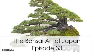 The Bonsai Art of Japan  Episode 33 [upl. by Balliett271]