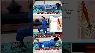 Femoral Nerve Stretch  Femoral Nerve Mobilisation Technique [upl. by Lewison970]