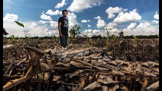 Plantando conflictos agronegocios y disputas por la tierra en la Amazonía peruana [upl. by Audy160]