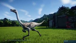 Jurassic World Evolution Null Struthiomimus [upl. by Ahsitra]