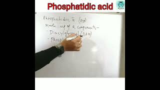 Phosphatidic Acid PA [upl. by Oniluap]