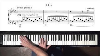 Liszt Consolation No3  P Barton FEURICH 218 piano [upl. by Pestana]