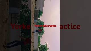 Yorker ball practice subscribe please my YouTube channel 🙏 cricket [upl. by Hanej71]