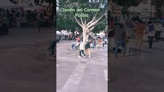 Panorámica del jardín del Carmen un domingo puebla [upl. by Acisey]