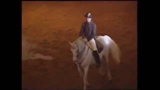 Spanische Reitschule Wien 1994 16  Alle Gänge und Touren [upl. by Lerud]