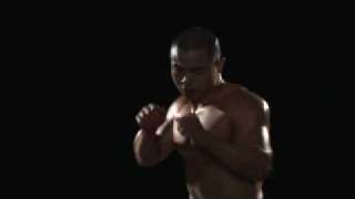 Shaolin Warrior Punch Kick Trailer [upl. by Liamaj]