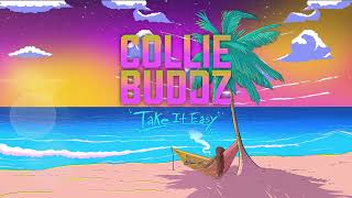 Collie Buddz  Take It Easy Full Album [upl. by Aseen]