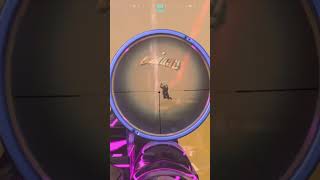 Professional bug swatter callofdutywarzonehighlights callofduty callofdutymodernwarfareclips [upl. by Greenman]