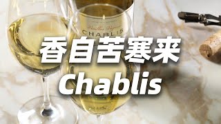 Chablis，香自苦寒来。 [upl. by Anairo903]