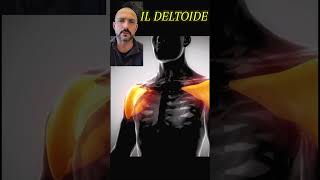 Deltoide benessere salute personaltrainer fitness posturalcorrection postura allenamento [upl. by Ilene937]