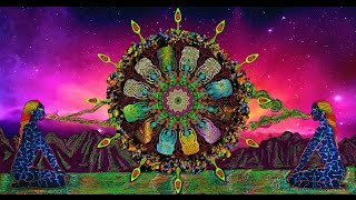 Shpongle  Circuits of the Imagination Music Video [upl. by Raseac]