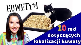 KUWETologia odc 1  10 tipów Gdzie postawić kuwety dla kota [upl. by Giorgia]