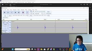 Adobe Animate audio Desync bug existed for 16 years [upl. by Livvi]