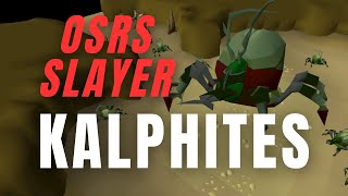 OSRS Slayer  KALPHITES  Get the FASTEST easy slayer XP in game [upl. by Pacifica]