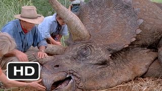 Jurassic Park 310 Movie CLIP  The Sick Triceratops 1993 HD [upl. by Thayer71]