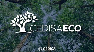 Conheça o Cedisa Eco  programa de sustentabilidade da Cedisa [upl. by Golliner479]