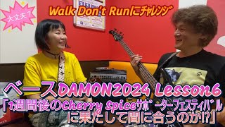 ベースDAMON2024 Lesson6「1週間後のChrry Spiceｻﾎﾟｰﾀｰﾌｪｽﾃｨﾊﾞﾙに果たして間に合うのか」 [upl. by Dnob]