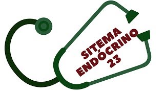 SISTEMA ENDÓCRINO 23  PARATORMÔNIO [upl. by Amoreta916]