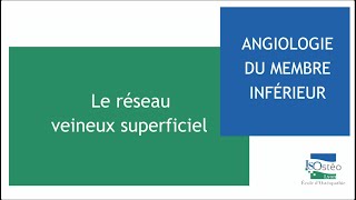 Angiologie du membre inférieur Le réseau veineux superficiel [upl. by Crenshaw]