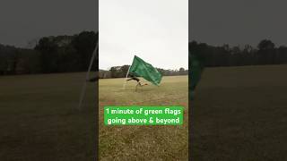 1 minute of wholesome green flags [upl. by Emmaline]