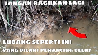 lubang seperti ini yang dicari pemancing belutmancingbelutbelutbesarbelutmonsterbelut [upl. by Weismann]