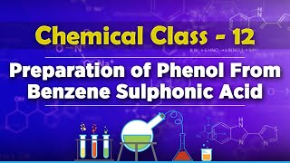 Preparation of Phenol From Benzene Sulphonic Acid  Alcohols Phenols and Ethers [upl. by Pooley112]