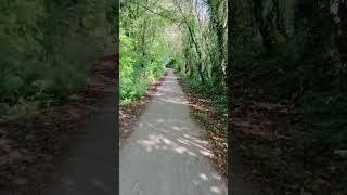 Cycling track at LouvainlaNeuve cycling louvainlaneuve nature belgium europe shorts [upl. by Stannwood]