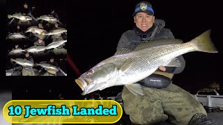 Epic Solo JEWFISHMULLOWAY lure fishing session [upl. by Eidnas]