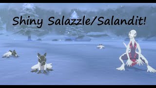 SHINY SALAZZLE AND SALANDIT in POKEMON SWORD MY LONGEST HUNT YET [upl. by Sontich]