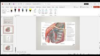 Pectoral region Gross Anatomy [upl. by Rosalie]