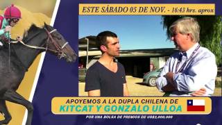 Kitcat rumbo a la Breeders Cup 2016 Pedro Hurtado nota de Hernán E Ulloa [upl. by Boff]