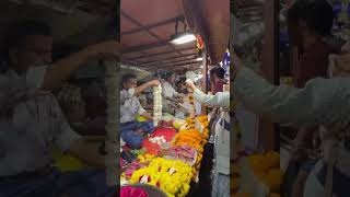 Diwali pe gaya jaipur ki Roshini dekhne subscribe like share happydiwali pinkcity jaipur [upl. by Adnahsed773]