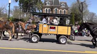 Mule Day Parade 2023 Part 4 [upl. by Cristal958]