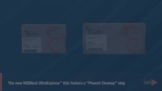 Phased Cleanups for NEBNext UltraExpress™ Kits [upl. by Porta]