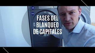 Fases del Blanqueo de Capitales [upl. by Donavon252]