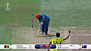 All Wickets Of Mitchell Starc 201924 [upl. by Honoria]