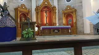 45 na istasyon in Immaculate Conception Parish Rosario La Union [upl. by Nnalyrehs]