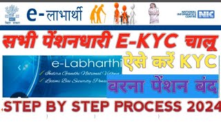 Bihar Pension E Kyc Kaise Kare  Elabharthi kyc 2024  ELabharthi Pension EKYC Online Apply [upl. by Olra392]