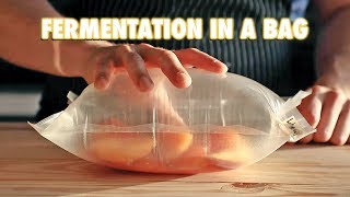 The Easiest Way To Ferment Any Fruit LactoFermentation [upl. by Dolley241]