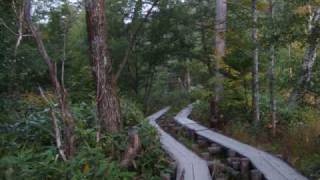 上高地～長野善光寺～東山魁夷美術館～信州そば2009／9／20） [upl. by Eenalem]