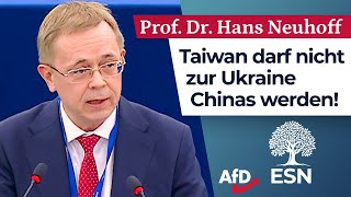 Taiwan darf nicht zur Ukraine Chinas werden  Prof Dr Hans Neuhoff AfD [upl. by Suiremed]