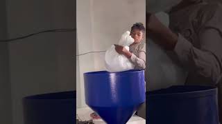 Dust Pan making process  dustpan making process youtube facts factorymade factorymaking [upl. by Ameekahs]