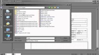 13 Metacam Layout REPORT [upl. by Hannavas217]