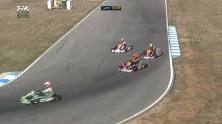 Max Verstappen Karting 2013  CIK FIA EUROPEAN CHAMPIONSHIP ROUND2 KF FINAL Ortona [upl. by Hafital]