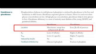 Hexokinase vs Glucokinase 6 [upl. by Mather652]